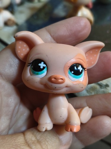 Littlest pet shop cerdo - , #622