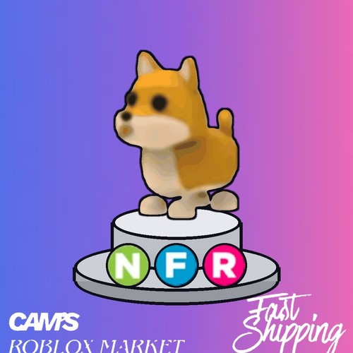 Nfr shiba inu consegna - inu,