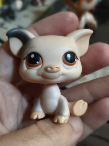 Littlest pet shop - , #259