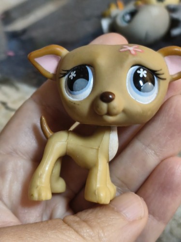 Littlest pet shop perro - , #498